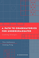 A Path to Combinatorics for Undergraduates: Counting Strategies
