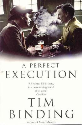 A Perfect Execution - Binding, Tim