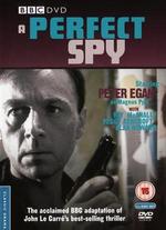 A Perfect Spy