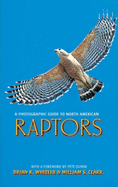 A Photographic Guide to North American Raptors
