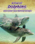 A Pod of Dolphins: And Other Sea Mammal Groups
