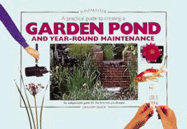 A Practical Guide to Creating a Garden Pond and Year-Round Maintenance