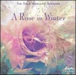 A Rose in Winter