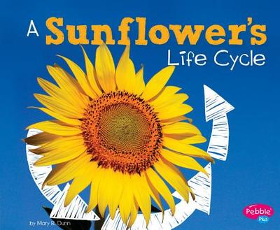 A Sunflower's Life Cycle - Dunn, Mary R