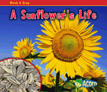A Sunflower's Life