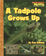 A Tadpole Grows Up