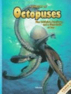 A Tangle of Octopuses: Plus Cuttlefish, Nautiluses, and a Giant Squid or Two