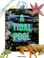 A Tidal Pool