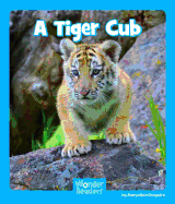 A Tiger Cub