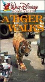 A Tiger Walks