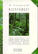 A Tropical Rainforest