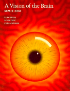 A Vision of the Brain