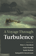 A Voyage Through Turbulence