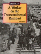 A Worker on the Transcontinental Railroad