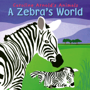A Zebra's World