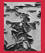 Aaron Siskind 100 - Siskind, Aaron (Photographer), and Rauschenberg, Robert, and Blind Spot Books