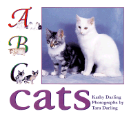 ABC Cats