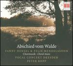 Abschied vom Walde