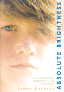 Absolute Brightness
