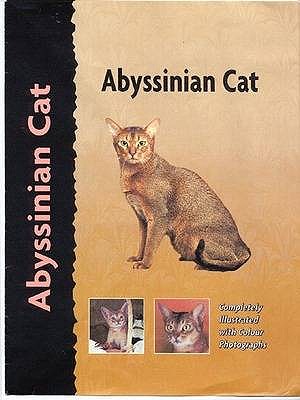 Abyssinian Cat - Tidwell, Virginia N.