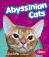 Abyssinian Cats