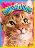 Abyssinians