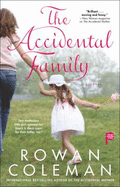 Accidental Family