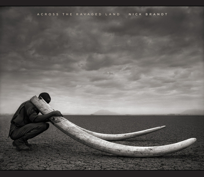 Across the Ravaged Land - Brandt, Nick