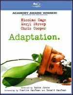 Adaptation