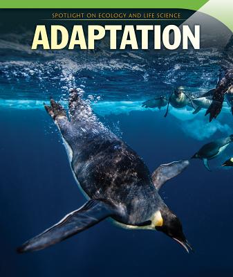 Adaptation - George, Gale