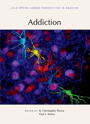 Addiction - Pierce, R Christopher