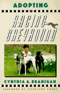 Adopting the Racing Greyhound