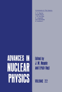 Advances in Nuclear Physics: Volume 22