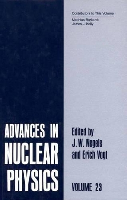 Advances in Nuclear Physics - Negele, J W (Editor), and Vogt, Erich (Editor)
