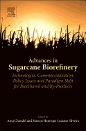 Advances in Sugarcane Biorefinery: Technologies, Commercialization, Policy Issues and Paradigm Shift for Bioethanol and By-Products