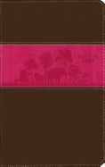 Adventure Bible, NIV