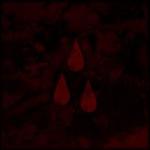 AFI (The Blood Album)