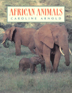 African Animals
