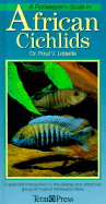 African Cichlids