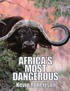 Africa's Most Dangerous: The Southern Buffalo (Syncerus Caffer Caffer)