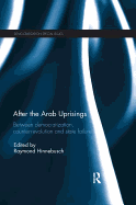 After the Arab Uprisings: Between Democratization, Counter-revolution and State Failure