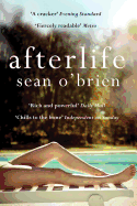 Afterlife