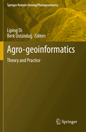 Agro-Geoinformatics: Theory and Practice