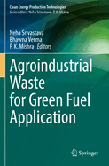 Agroindustrial waste for green fuel application