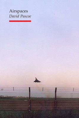 Airspaces - Pascoe, David