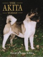 Akita Today