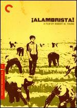 Alambrista!