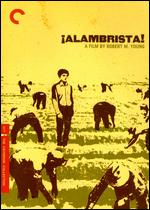 Alambrista! - Robert M. Young