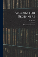 Algebra for Beginners: With Numerous Examples