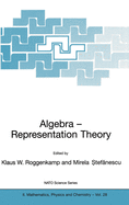 Algebra - Representation Theory